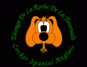 DE LA ROCHE DE LA TIMONADE