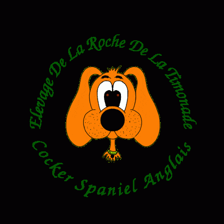 DE LA ROCHE DE LA TIMONADE - Image 1