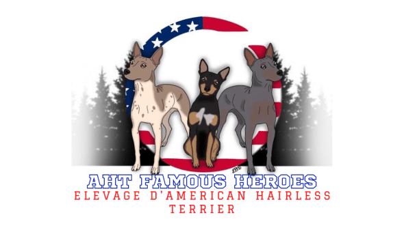 FAMOUS HEROES - Image 4