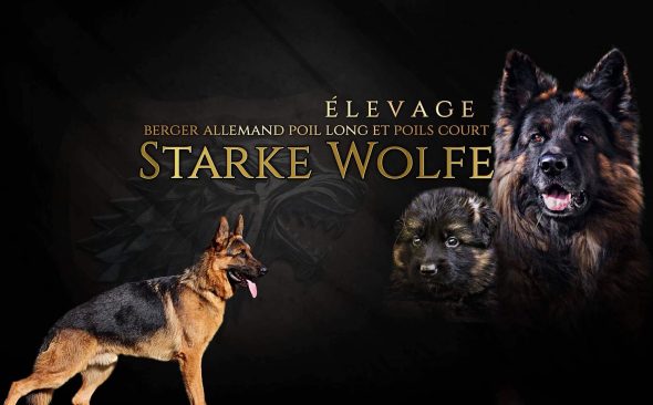 DE STARKE WOLFE - Image 1