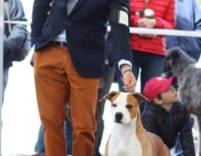 TERRIER&rsquo;S PARADISE
