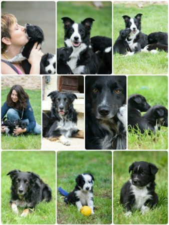 COCU PATRICIA - Image 2
