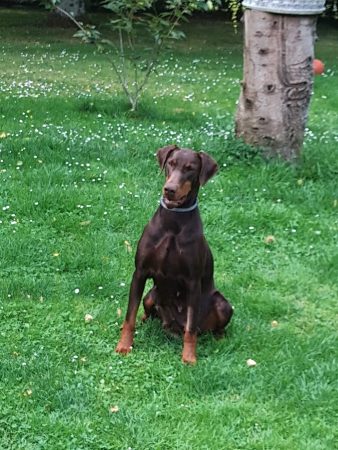 LANDOT MARTINE - Image 6