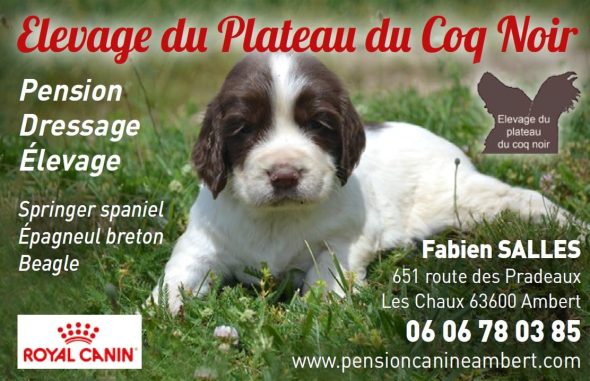 DU PLATEAU DU COQ NOIR - Image 2