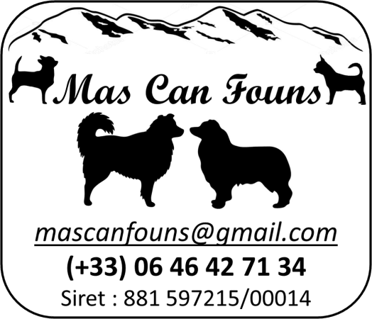MAS CAN FOUNS - Image 1