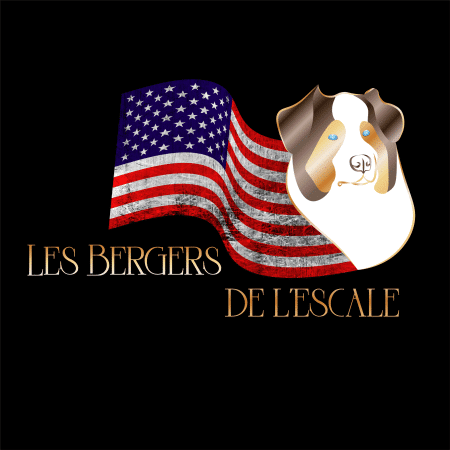LES BERGERS DE L ESCALE - Image 1
