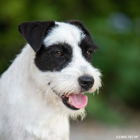 CONCHON ANAIS - Image 1