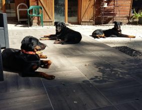 DU PUITS AUX BROSSES