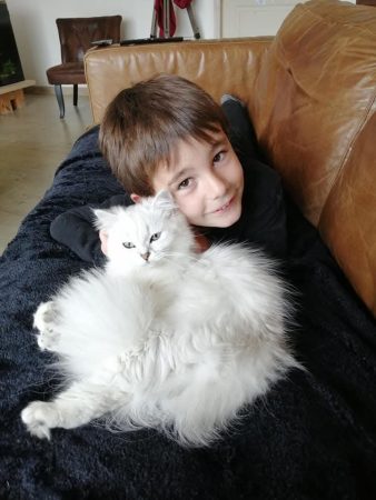 Mcb&rsquo;cats - Image 2