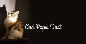 AND POPSI DUST
