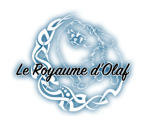 LE ROYAUME D&rsquo;OLAF - Image 1