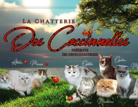 LARCHEVEQUE CHANTAL