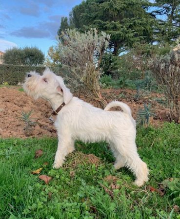 STEPHANE PAPAIX - Image 7