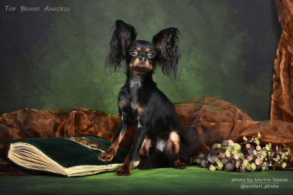 KALINKA STYLE - Image 9