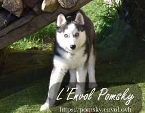 L ENVOL