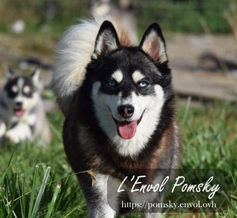 L ENVOL - Image 6