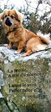PICARD ROMAN AGNES - Image 5
