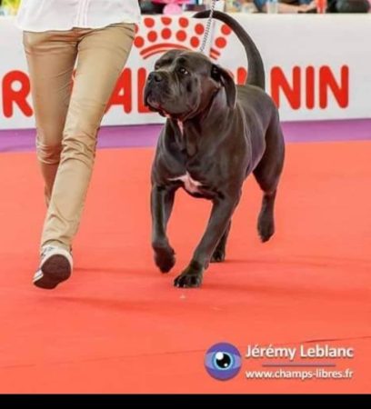 HOORNAERT NATACHA - Image 5