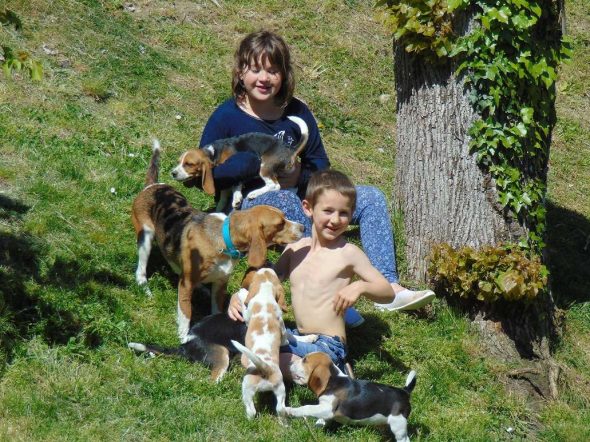 ROYERE STEPHANIE - Image 8