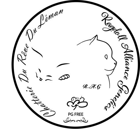 DU REVE DU LEMAN - Image 1