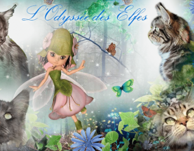 ODYSSEE DES ELFES