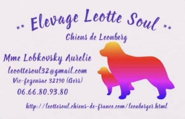 LEOTTE SOUL - Image 12