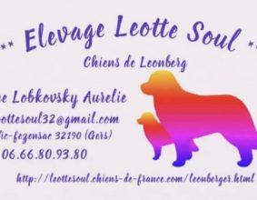 LEOTTE SOUL
