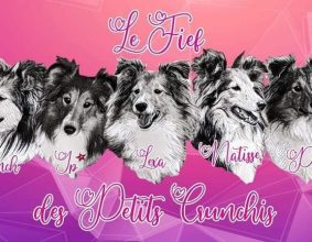 LE FIEF DES PETITS CRUNCHIS