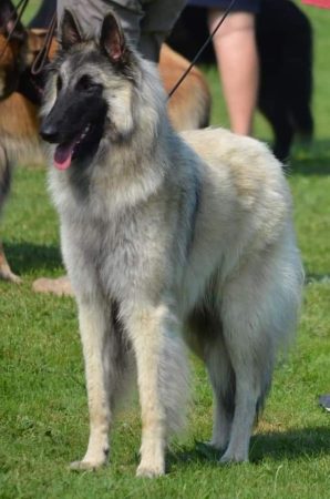 BOISSE BRIGITTE - Image 15