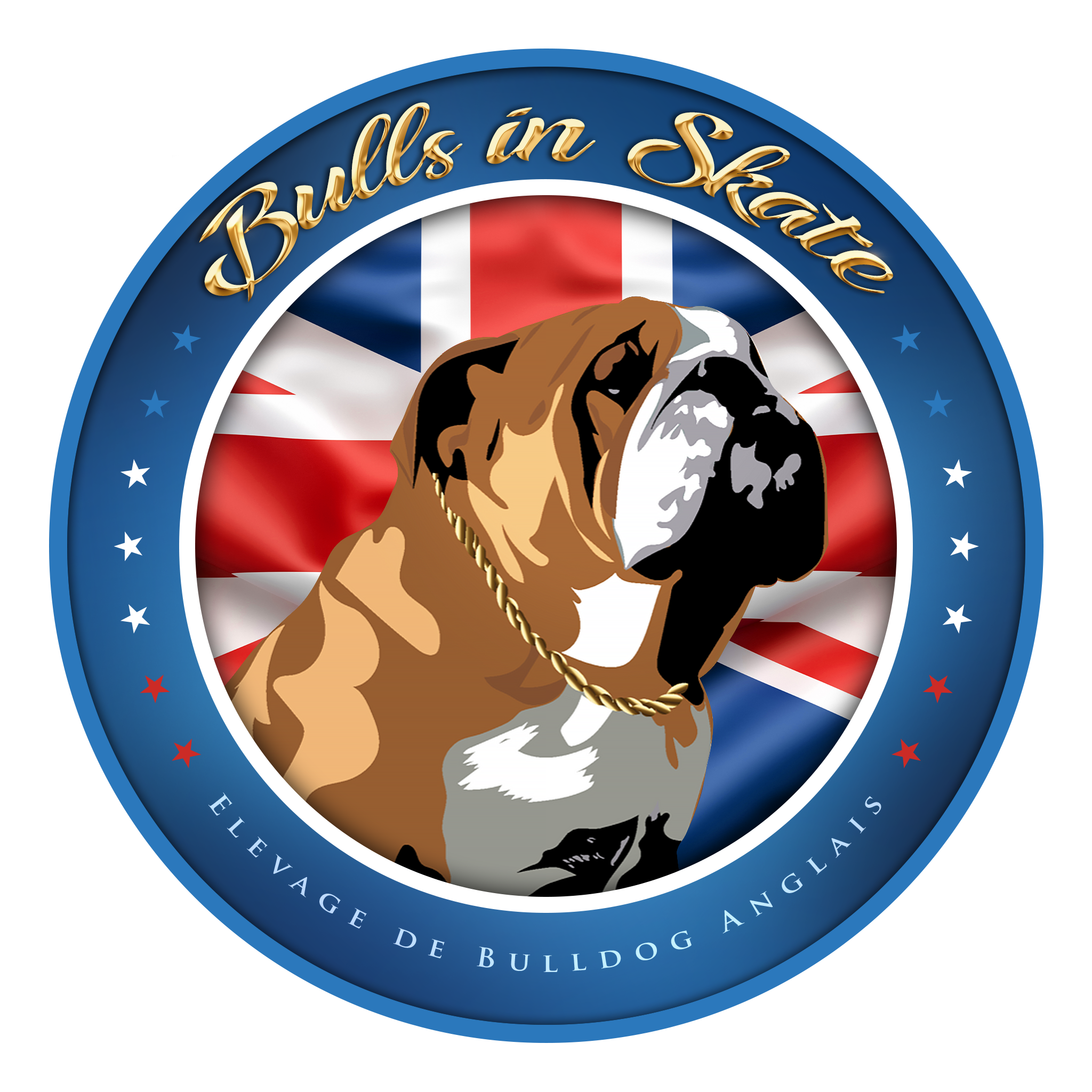 BULL&rsquo;S IN SKATE