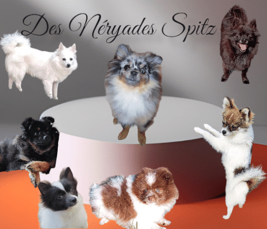 DUFAYS PEGGY - Image 1