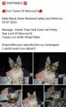 OF WARCOON&rsquo;S