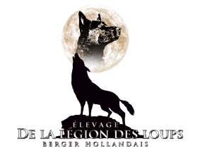 BAUDOIN SANTURET LAURA