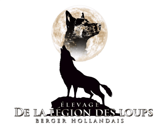 BAUDOIN SANTURET LAURA - Image 1