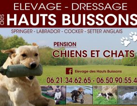DES HAUTS BUISSONS