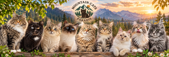 MOUNTAIN CATS PARADIS - Image 1