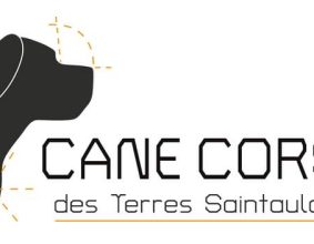 DES TERRES SAINTAULOISES