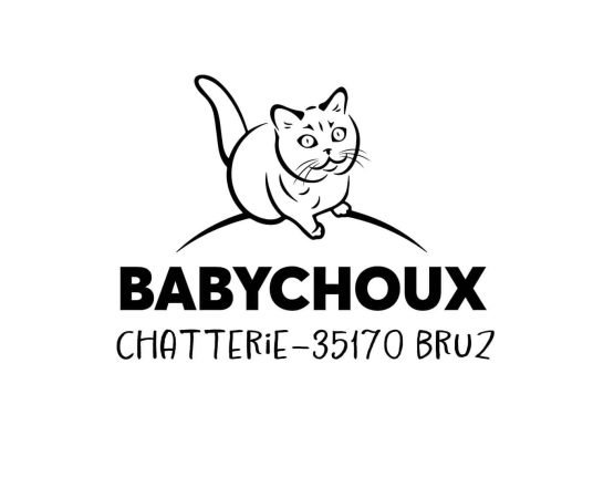CHATTERIE DES BABYCHOUX-BRUZ - Image 1