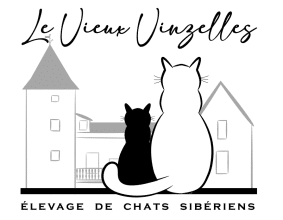 LES CHATS SIBERIENS DU VIEUX VINZELLES