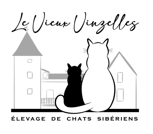 LES CHATS SIBERIENS DU VIEUX VINZELLES - Image 1