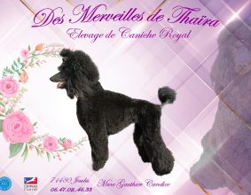 DES MERVEILLES DE THAIRA