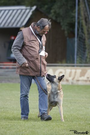 DES 3 MARINS - Image 4