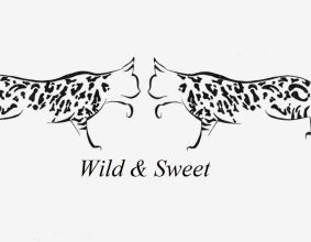 WILD & SWEET