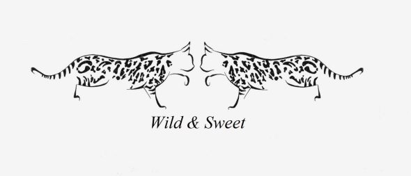 WILD & SWEET - Image 1