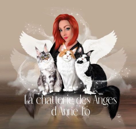 DES ANGES D&rsquo;ANNE LO - Image 1