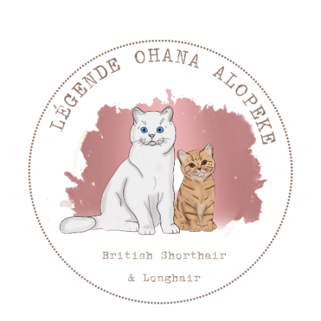LEGENDE OHANA - Image 1
