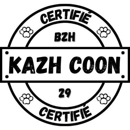 DES KAZH COON - Image 1
