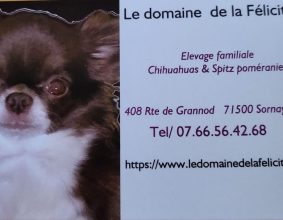 LE DOMAINE DE LA FELICITE