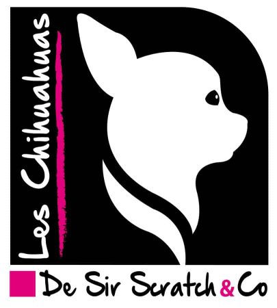 DE SIR SCRATCH ET CO - Image 1