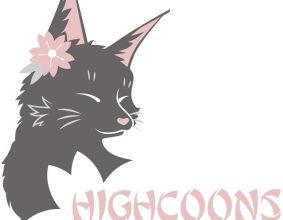 CHATTERIE DES HIGHCOONS
